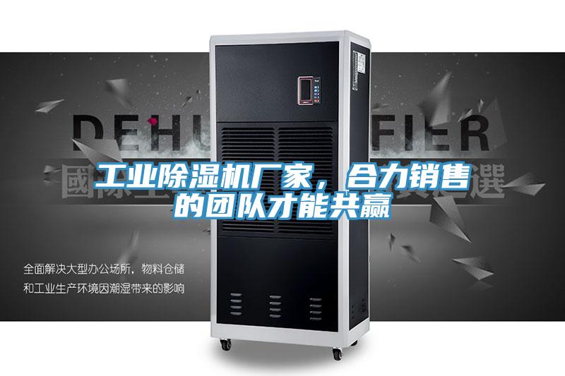 工業91看片软件大全廠家，合力銷售的團隊才能共贏