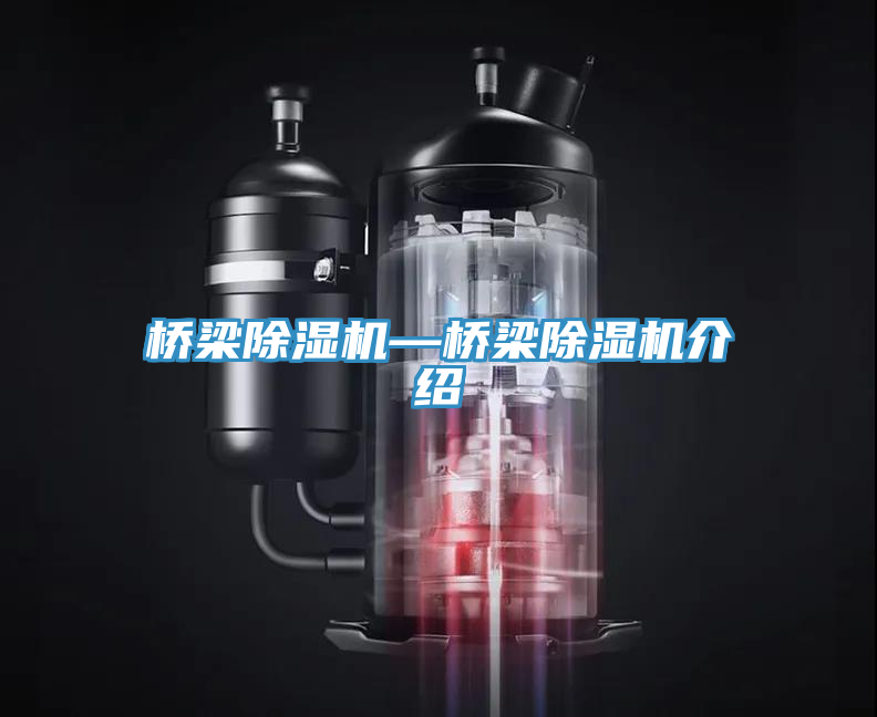 橋梁91看片软件大全—橋梁91看片软件大全介紹