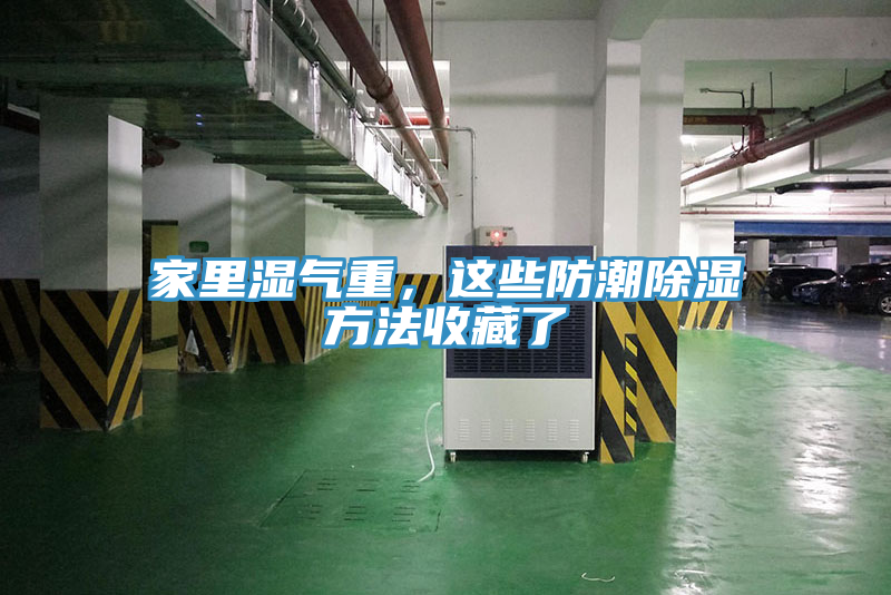 家裏濕氣重，這些防潮除濕方法收藏了