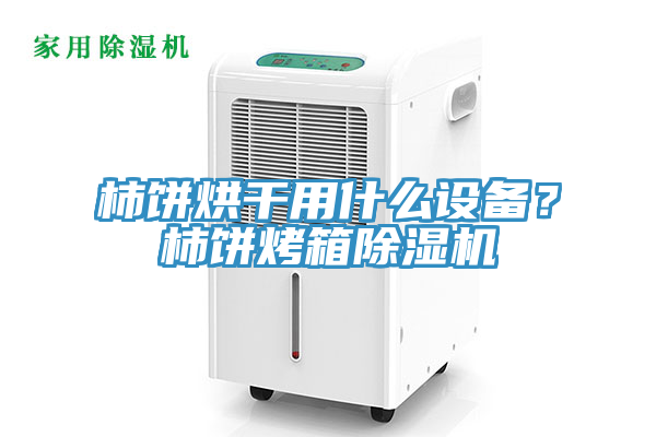 柿餅烘幹用什麽設備？柿餅烤箱91看片软件大全