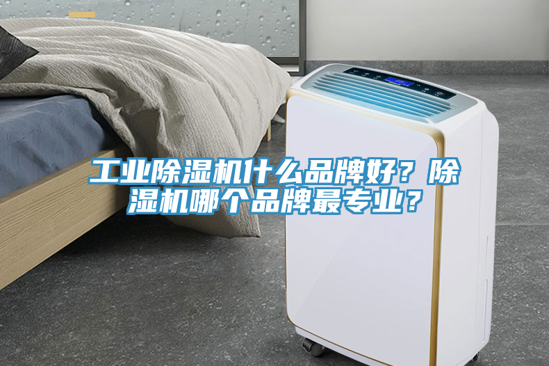 工業91看片软件大全什麽品牌好？91看片软件大全哪個品牌最專業？