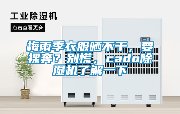 梅雨季衣服曬不幹，要裸奔？別慌，cado91看片软件大全了解一下