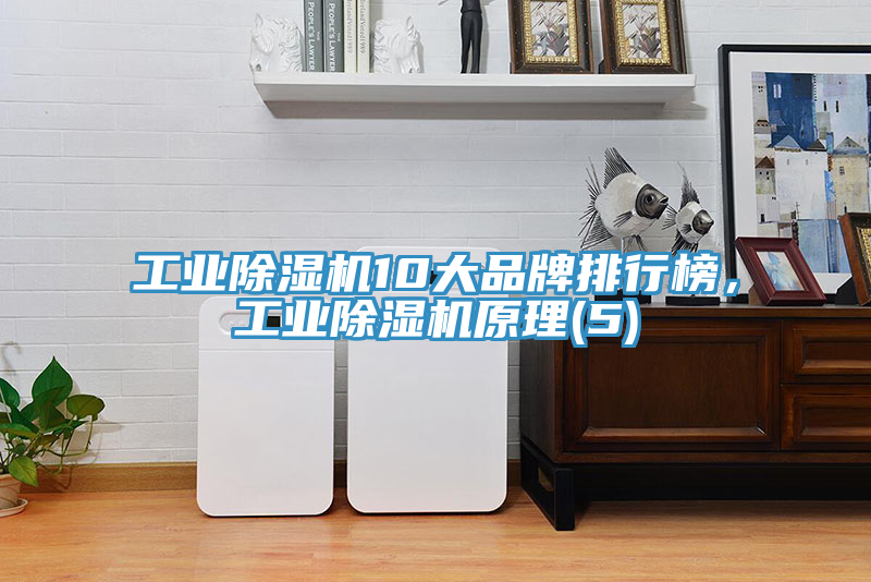 工業91看片软件大全10大品牌排行榜，工業91看片软件大全原理(5)