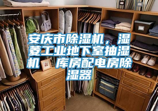 安慶市91看片软件大全，濕菱工業地下室抽濕機  庫房配電房除濕器