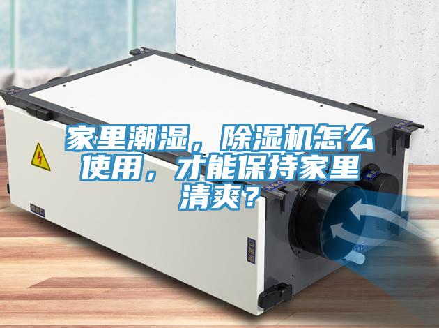 家裏潮濕，91看片软件大全怎麽使用，才能保持家裏清爽？