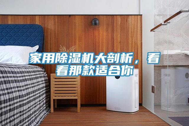 家用91看片软件大全大剖析，看看那款適合你
