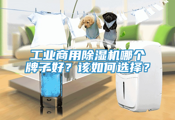 工業商用91看片软件大全哪個牌子好？該如何選擇？