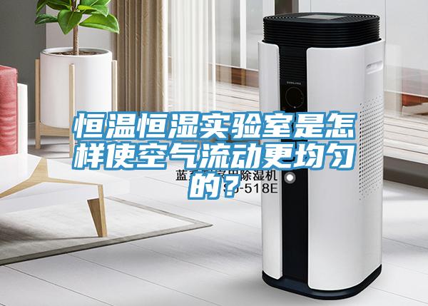 恒溫恒濕實驗室是怎樣使空氣流動更均勻的？