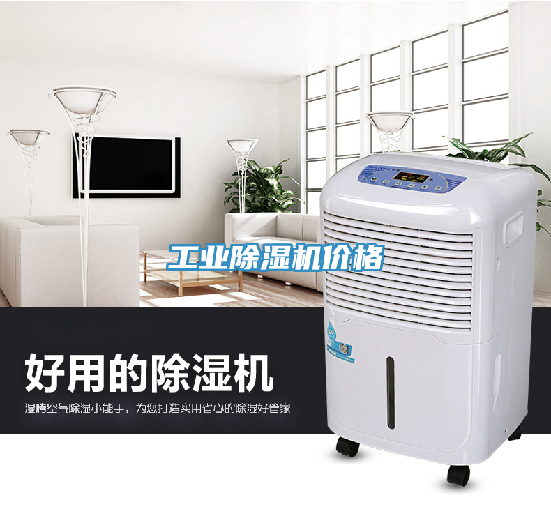 工業91看片软件大全價格