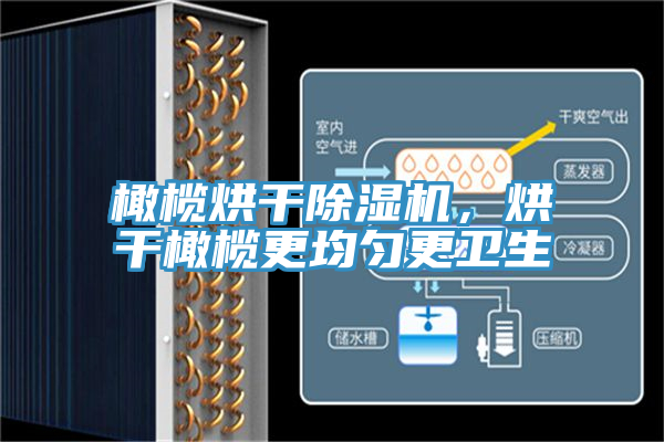 橄欖烘幹91看片软件大全，烘幹橄欖更均勻更衛生