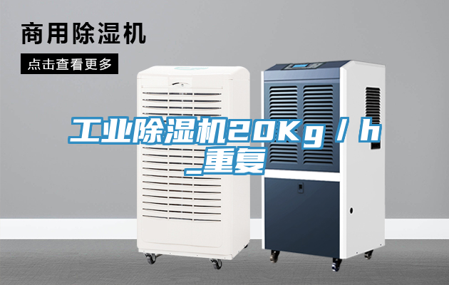工業91看片软件大全20Kg／h_重複