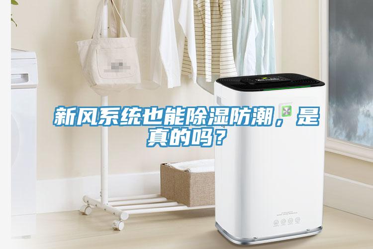 新風係統也能除濕防潮，是真的嗎？