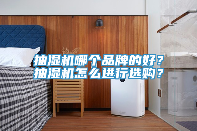 抽濕機哪個品牌的好？抽濕機怎麽進行選購？
