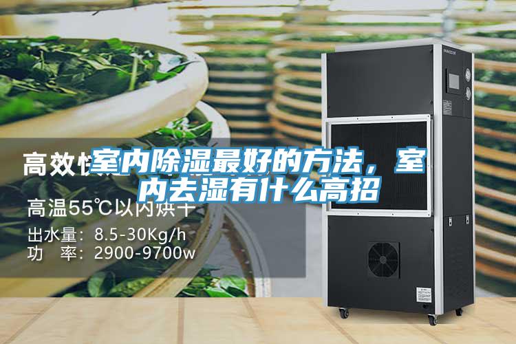 室內除濕最好的方法，室內去濕有什麽高招