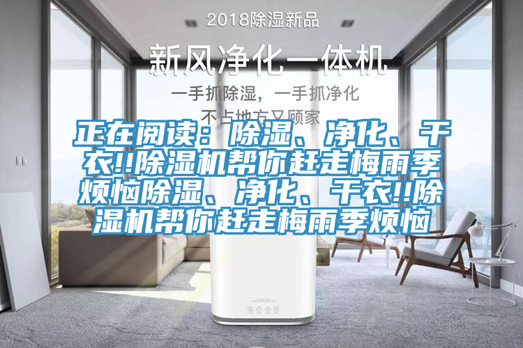 正在閱讀：除濕、淨化、幹衣!!91看片软件大全幫你趕走梅雨季煩惱除濕、淨化、幹衣!!91看片软件大全幫你趕走梅雨季煩惱