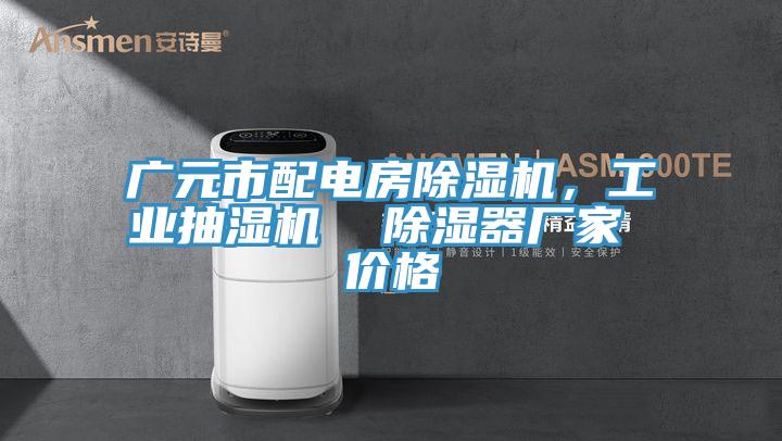 廣元市配電房91看片软件大全，工業抽濕機  除濕器廠家 價格
