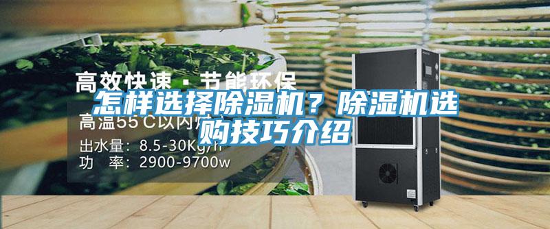 怎樣選擇91看片软件大全？91看片软件大全選購技巧介紹