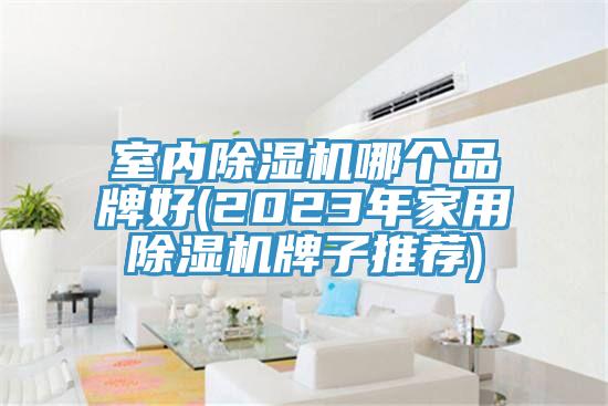 室內91看片软件大全哪個品牌好(2023年家用91看片软件大全牌子推薦)