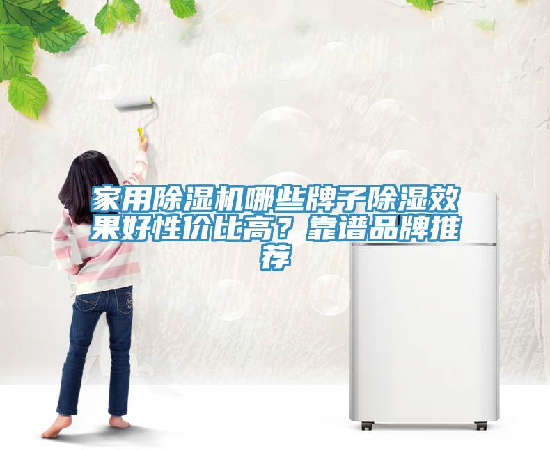 家用91看片软件大全哪些牌子除濕效果好性價比高？靠譜品牌推薦