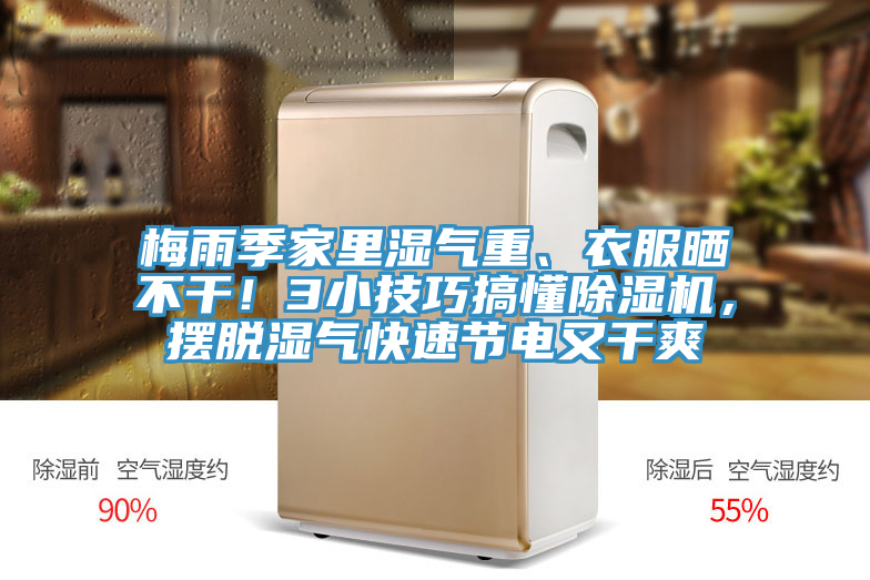 梅雨季家裏濕氣重、衣服曬不幹！3小技巧搞懂91看片软件大全，擺脫濕氣快速節電又幹爽