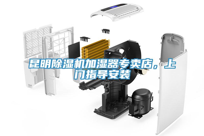 昆明91看片软件大全加濕器專賣店，上門指導安裝