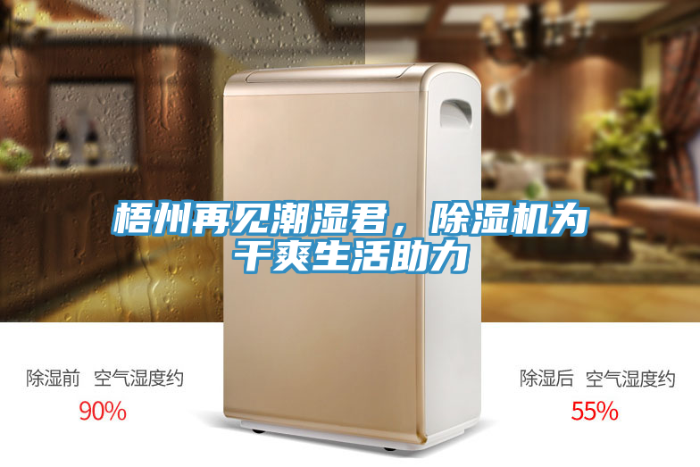 梧州再見潮濕君，91看片软件大全為幹爽生活助力