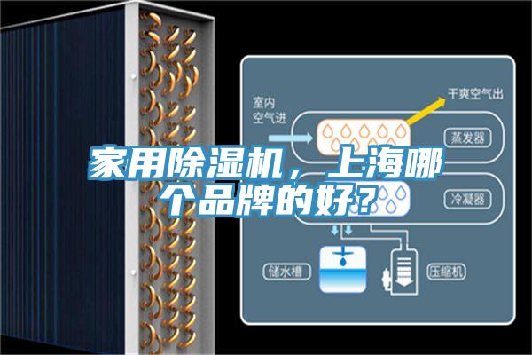 家用91看片软件大全，上海哪個品牌的好？