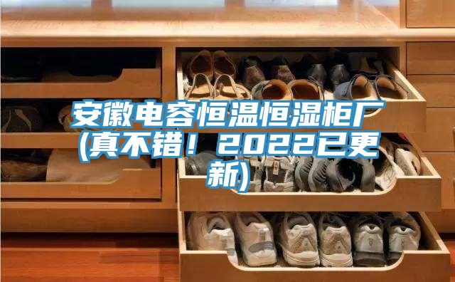 安徽電容恒溫恒濕櫃廠(真不錯！2022已更新)