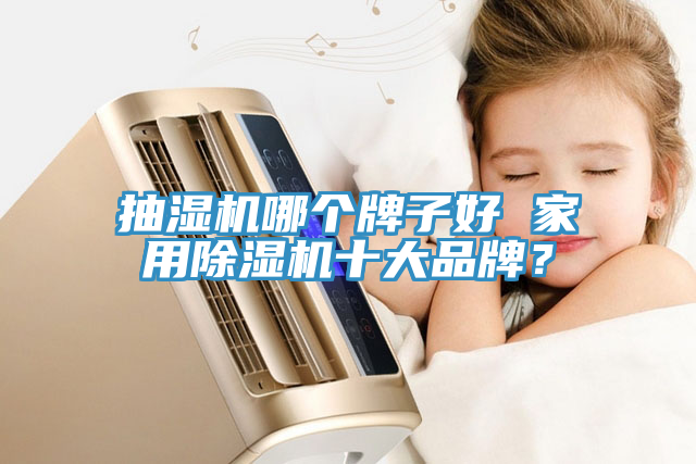 抽濕機哪個牌子好 家用91看片软件大全十大品牌？