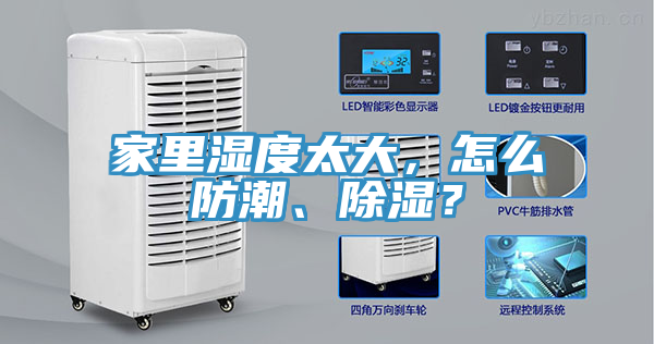 家裏濕度太大，怎麽防潮、除濕？