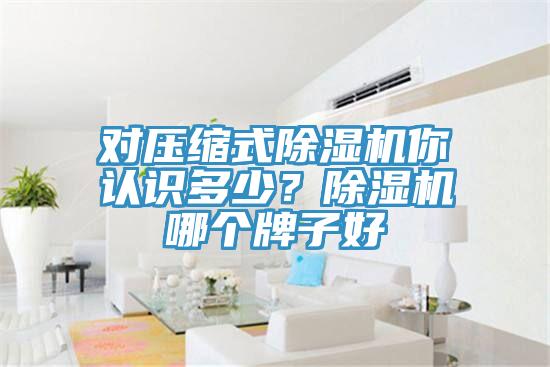 對壓縮式91看片软件大全你認識多少？91看片软件大全哪個牌子好