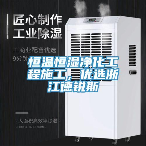 恒溫恒濕淨化工程施工，優選浙江德銳斯