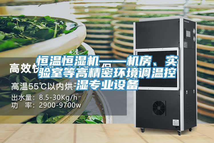 恒溫恒濕機——機房、實驗室等高精密環境調溫控濕專業設備