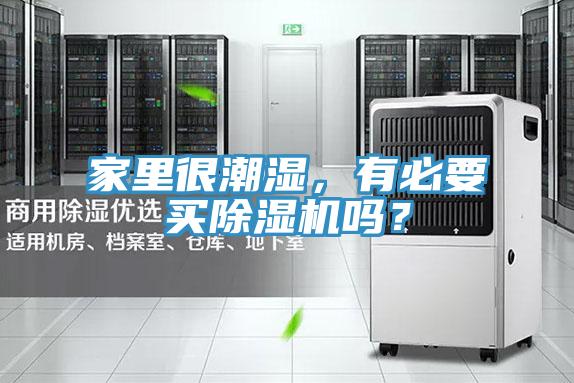家裏很潮濕，有必要買91看片软件大全嗎？