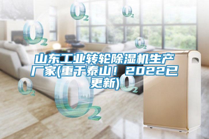 山東工業轉輪91看片软件大全生產廠家(重於泰山！2022已更新)