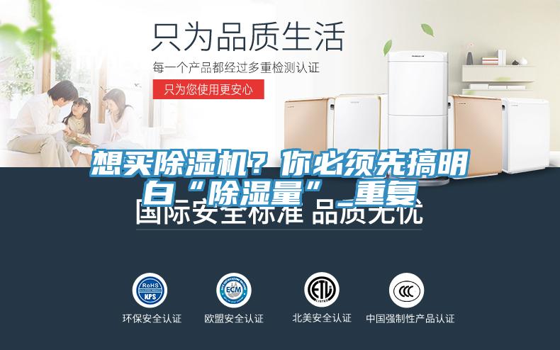 想買91看片软件大全？你必須先搞明白“除濕量”_重複