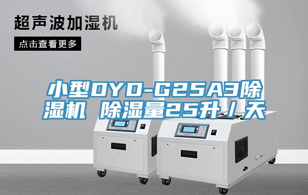 小型DYD-G25A391看片软件大全 除濕量25升／天