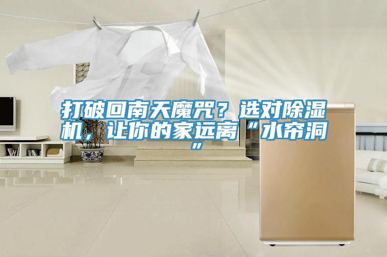 打破回南天魔咒？選對91看片软件大全，讓你的家遠離“水簾洞”