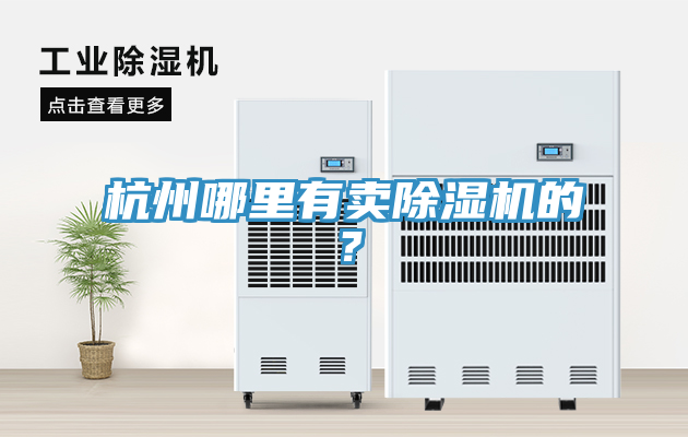 杭州哪裏有賣91看片软件大全的？