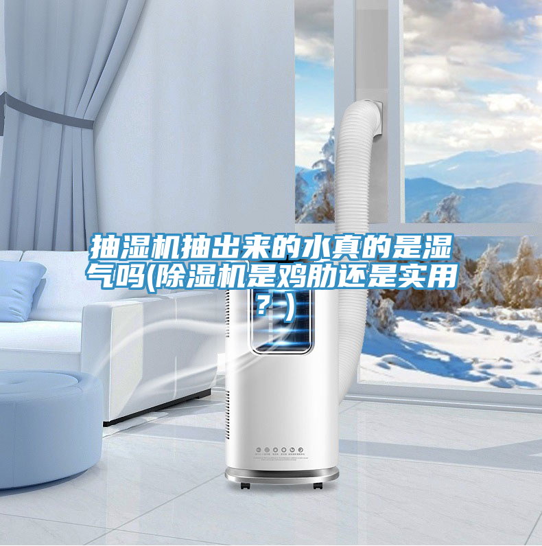 抽濕機抽出來的水真的是濕氣嗎(91看片软件大全是雞肋還是實用？)