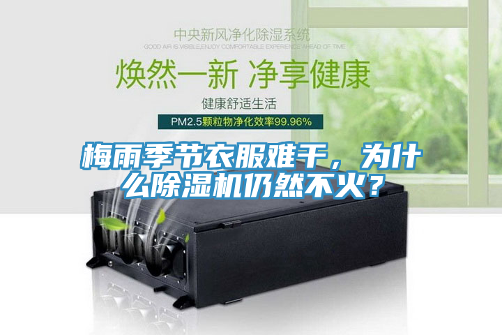 梅雨季節衣服難幹，為什麽91看片软件大全仍然不火？
