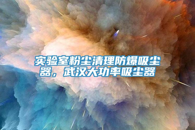 實驗室粉塵清理防爆吸塵器，武漢大功率吸塵器