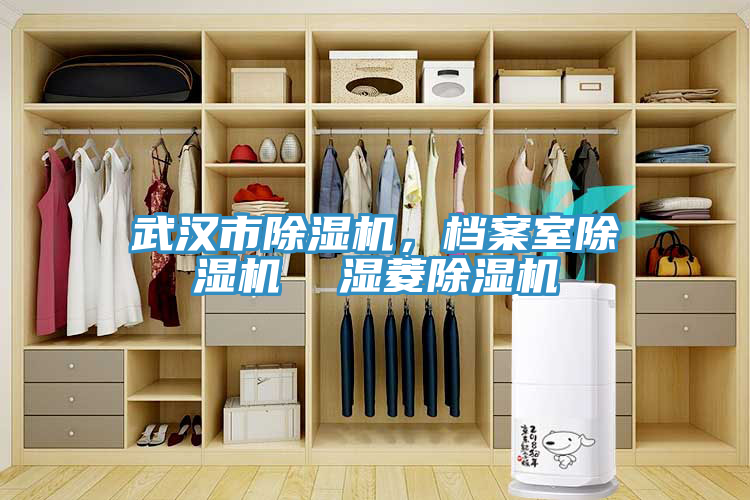 武漢市91看片软件大全，檔案室91看片软件大全  濕菱91看片软件大全