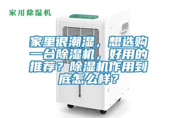 家裏很潮濕，想選購一台91看片软件大全，好用的推薦？91看片软件大全作用到底怎麽樣？