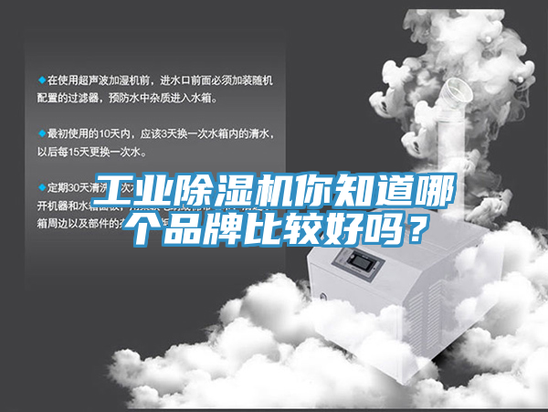 工業91看片软件大全你知道哪個品牌比較好嗎？