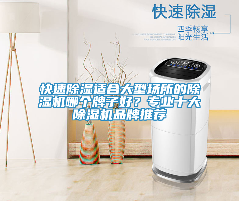 快速除濕適合大型場所的91看片软件大全哪個牌子好？專業十大91看片软件大全品牌推薦