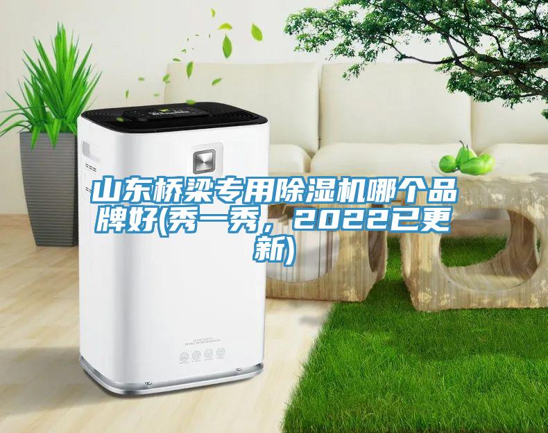 山東橋梁專用91看片软件大全哪個品牌好(秀一秀，2022已更新)