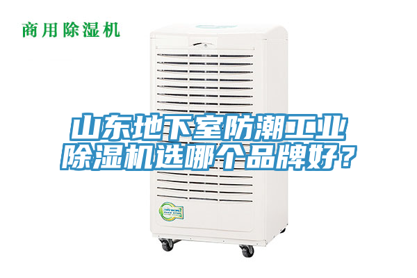 山東地下室防潮工業91看片软件大全選哪個品牌好？