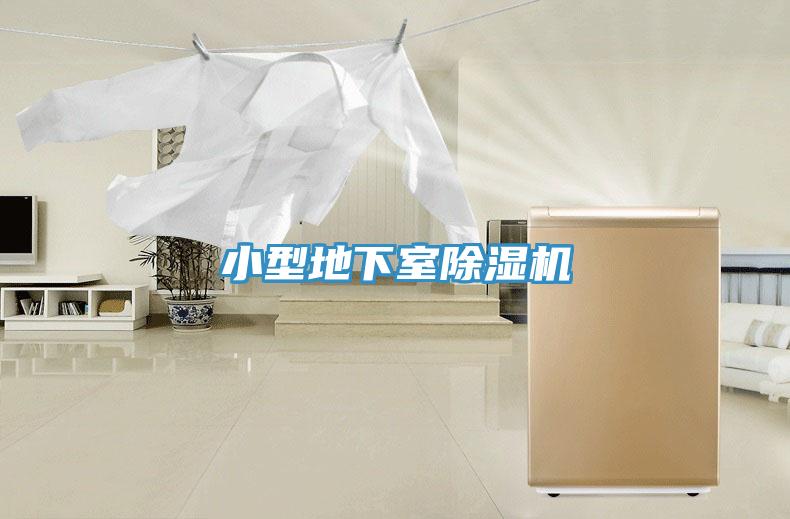小型地下室91看片软件大全