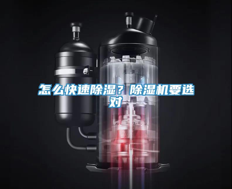 怎麽快速除濕？91看片软件大全要選對